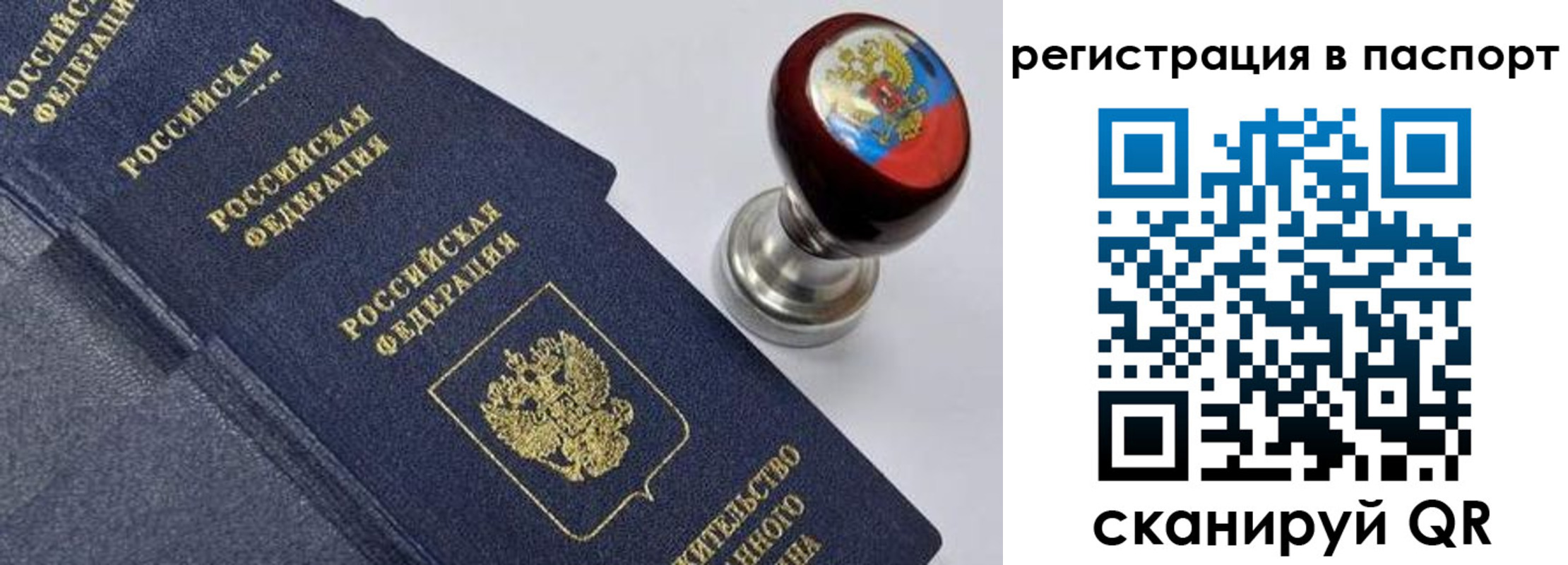 прописка поиск в Амурске